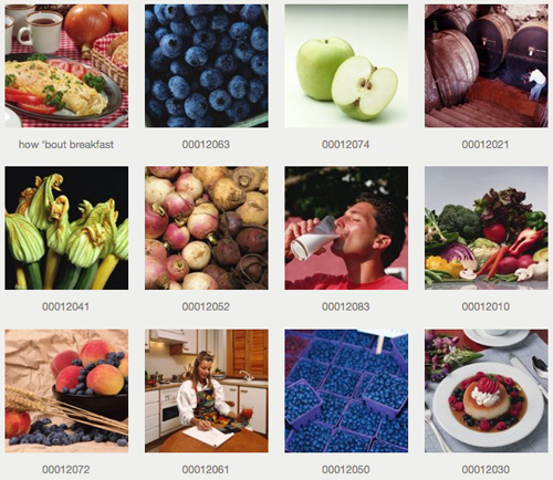 Lazyest Gallery Free Slideshow Plugins For Wordpress   Best of