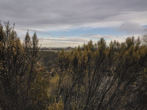 2012֙C(j)յ“˼”