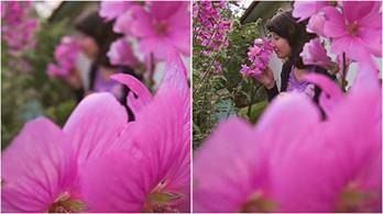 2012֙C(j)յ“˼”