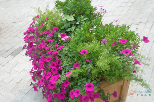 IMG_20120620_151927355 IMG_20120620_151927355