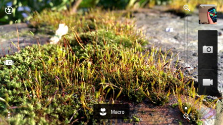 Macro sce​ne
