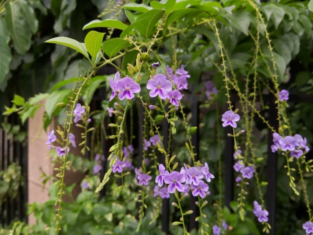 MX4ǻҼw - P40922-131208.jpg